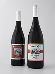 Classic_CabernetSauvignon_43x2